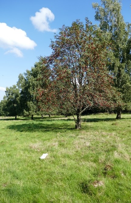 Landschaft_Neuhof.jpg desc