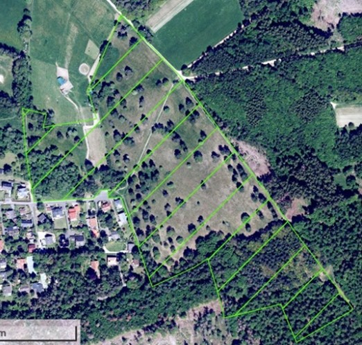 Neuhofer_Heide.jpg desc